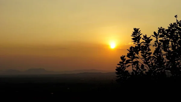 Τοπίο Φωτογραφία Του Ηλιοβασιλέματος Πίσω Από Φυτά Και Θάμνους Φόντο — Φωτογραφία Αρχείου
