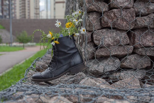 Wild flowers in hipster worn-out black boot on stones. Creative bouquet with camomile in leather shoe. Environmental awareness concept. Clothes and footwear recycling idea. Creative flowerpot.