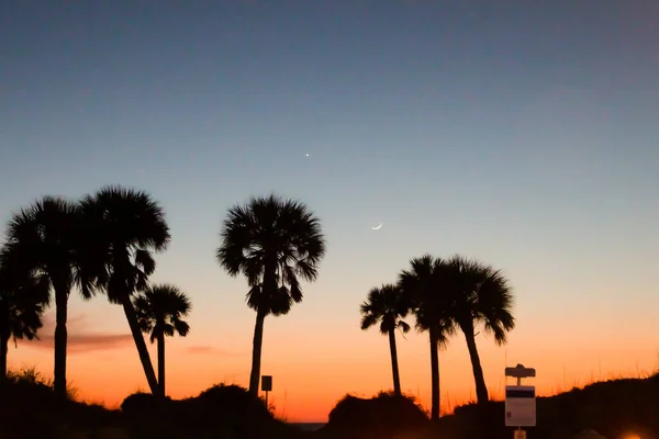 Tropische Palme Himmel Bei Sonnenuntergang — Stockfoto