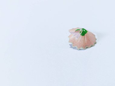 Tahta renkli kalem keskinleştirme talaşları beyaz izole arkaplan, üst görünüm, kopyalama alanı, beyaz boşluk