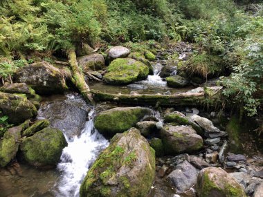 Şelale, dağ şelalesi, taşlar, orman, su, yeşillik, kayalar, manzara