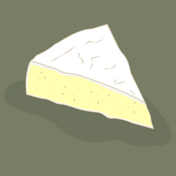 Piece Cheese camembert. Vector illustration — Wektor stockowy