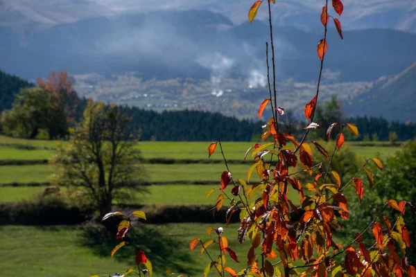 Podzimní Listí Rozostřená Krajina Pozadí — Stock fotografie