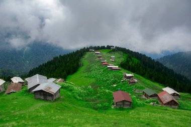 Pokut Platosu Rize Camlihemsin, Pokut Platosu Karadeniz ve Türkiye. Rize, Türkiye. 