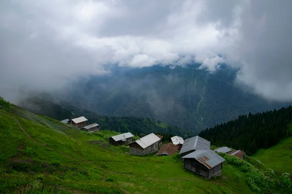 고원은 터키에 틀리헤 Rize Camlihemsin Pokut Plateau 서식한다 — 스톡 사진