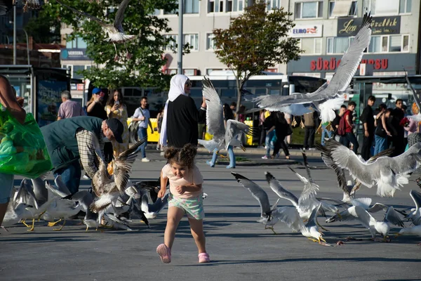 Стамбул Турция Июнь 2022 Девушка Убегает Чаек Маленькая Девочка Чайками — стоковое фото