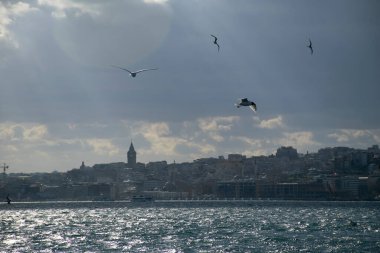 Istanbul on a cloudy day. Seagulls and a view from the Bosphorus in Istanbul.
