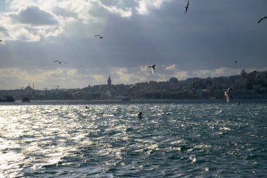 Istanbul on a cloudy day. Seagulls and a view from the Bosphorus in Istanbul.