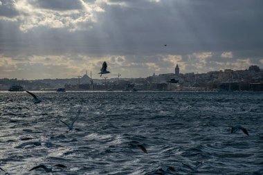 Istanbul on a cloudy day. Seagulls and a view from the Bosphorus in Istanbul.