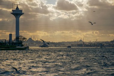 Istanbul on a cloudy day. Seagulls and a view from the Bosphorus in Istanbul.