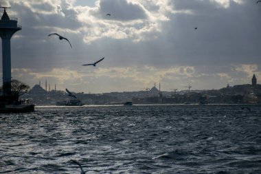 Istanbul on a cloudy day. Seagulls and a view from the Bosphorus in Istanbul.
