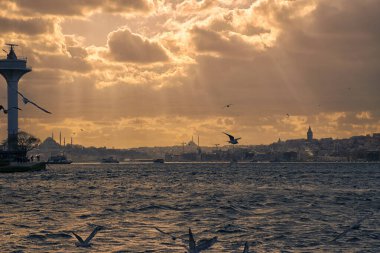 Istanbul on a cloudy day. Seagulls and a view from the Bosphorus in Istanbul.