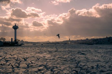 Istanbul on a cloudy day. Seagulls and a view from the Bosphorus in Istanbul.