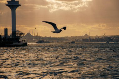 Istanbul on a cloudy day. Seagulls and a view from the Bosphorus in Istanbul.