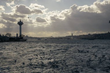 Istanbul on a cloudy day. Seagulls and a view from the Bosphorus in Istanbul.