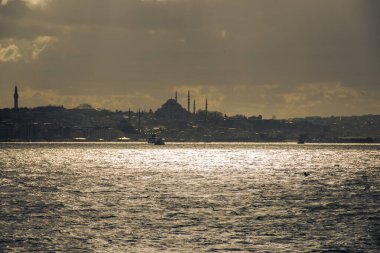 Istanbul on a cloudy day. Seagulls and a view from the Bosphorus in Istanbul.