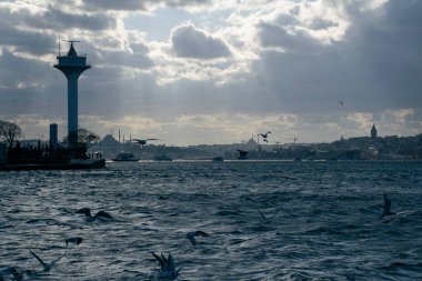 Istanbul on a cloudy day. Seagulls and a view from the Bosphorus in Istanbul.