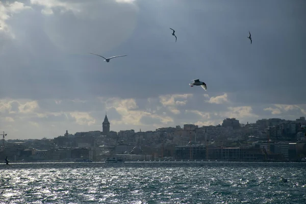 Istanbul on a cloudy day. Seagulls and a view from the Bosphorus in Istanbul.