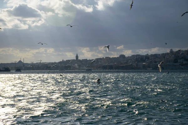 Istanbul on a cloudy day. Seagulls and a view from the Bosphorus in Istanbul.