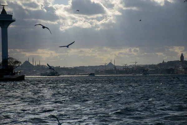 Стамбул Пасмурный День Чайки Вид Босфора Стамбуле — стоковое фото