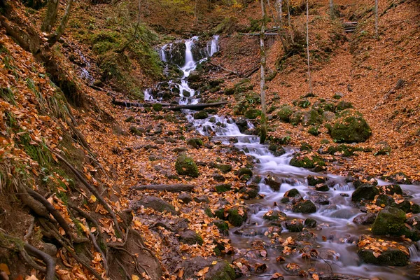 Herbstblätter Herbstlichen Flusswasser — Stockfoto