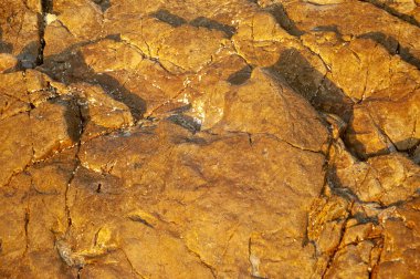 Koh Lanta adasındaki deniz taşları, Krabi, Tayland