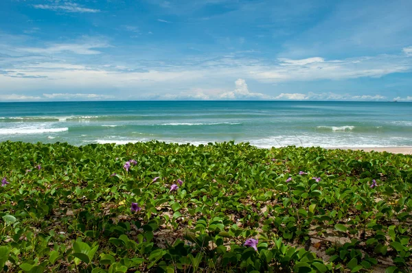Playa Laguna Hotel Saii Isla Phuket Tailandia — Foto de Stock