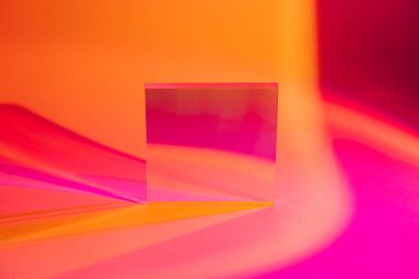 Renkli arka planda parlak akrilik yaprak. Sunum için stil arkaplanı.