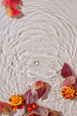 Su yüzeyinde sonbahar yaprakları. Kopya alanı ile güzel su dalgalanması arkaplanı 