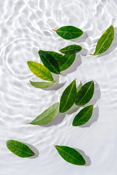 Ondulação Água Com Folhas Verdes Fundo Branco Moda Para Apresentação — Fotografia de Stock