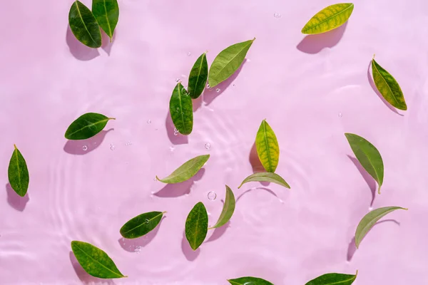 Ondulação Água Com Folhas Verdes Fundo Rosa Moda Para Apresentação — Fotografia de Stock