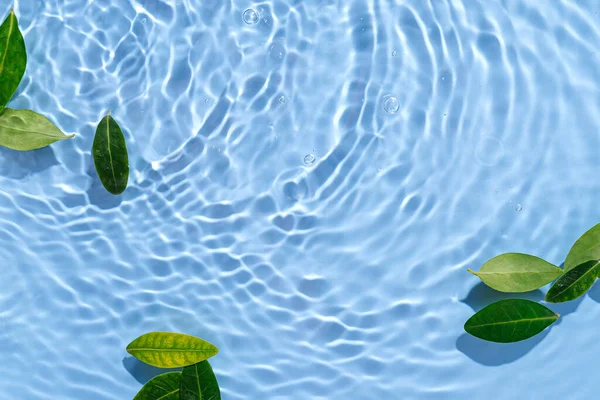 Ondulação Água Com Folhas Verdes Fundo Azul Moda Para Apresentação — Fotografia de Stock