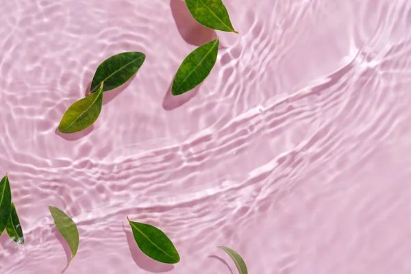 Ondulação Água Com Folhas Verdes Fundo Rosa Moda Para Apresentação — Fotografia de Stock