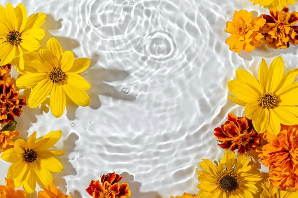 Bunga Kuning Permukaan Air Latar Belakang Riak Air Yang Indah — Stok Foto