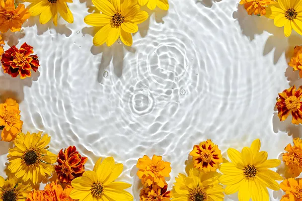 Air Beriak Dengan Bunga Kuning Latar Belakang Trendy Untuk Presentasi — Stok Foto