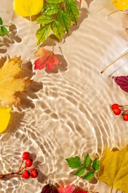 Sonbahar yapraklı su dalgalanması. Kopyalama alanı olan moda arkaplan. 