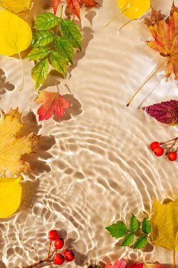 Sonbahar yapraklı su dalgalanması. Kopyalama alanı olan moda arkaplan. 