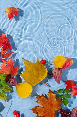 Sonbahar yapraklı su dalgalanması. Kopyalama alanı olan moda arkaplan. 