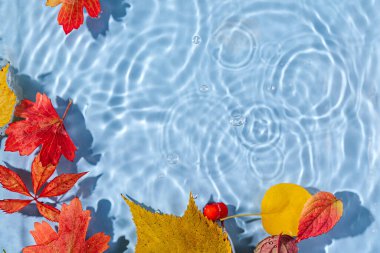 Su yüzeyinde sonbahar yaprakları. Kopya alanı ile güzel su dalgalanması arkaplanı 