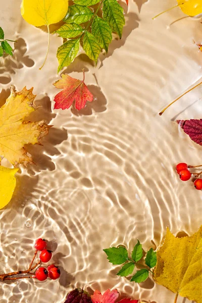 Sonbahar yapraklı su dalgalanması. Kopyalama alanı olan moda arkaplan. 