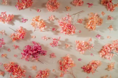 Pembe çiçekli güzel bir bahar arkaplanı. Bej arkaplanda ortanca desenli 