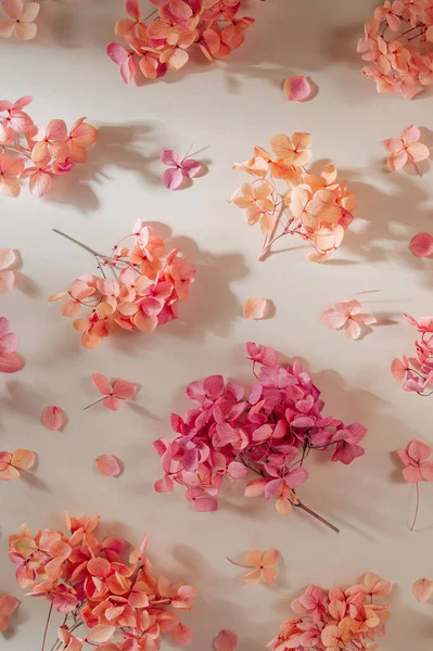Musim Semi Yang Indah Dengan Bunga Merah Muda Pola Dengan — Stok Foto