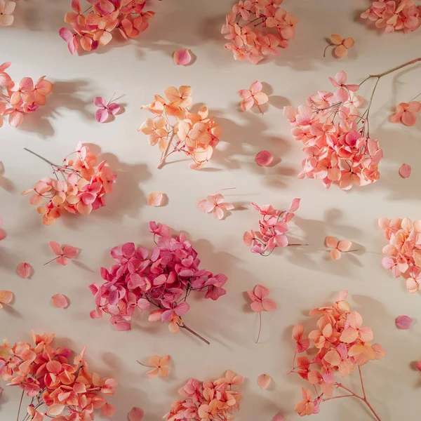 Musim Semi Yang Indah Dengan Bunga Merah Muda Pola Dengan — Stok Foto
