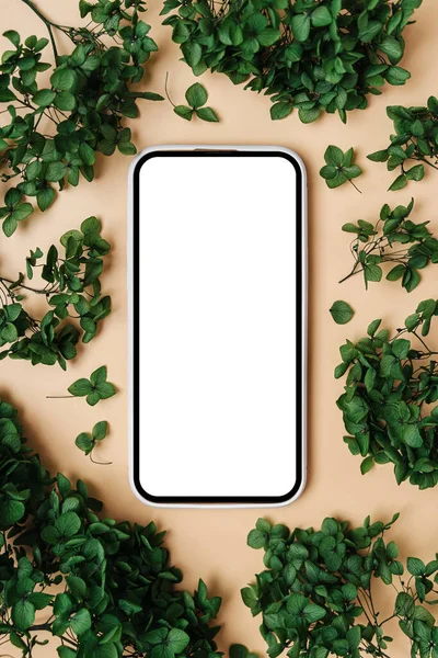 Smartphone Attrappe Mit Grünen Blumen Gerätebildschirm Attrappe Auf Stilvollem Hintergrund Stockbild