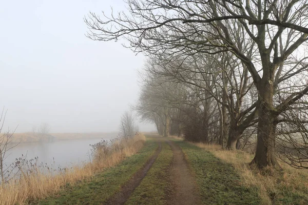 Beautiful hiking trail on the water in autumn time in fog on the river Geeste in Bremerhaven Germany.
