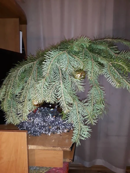 Υπάρχει Ένα Χριστουγεννιάτικο Δέντρο Στο Τραπέζι — Φωτογραφία Αρχείου