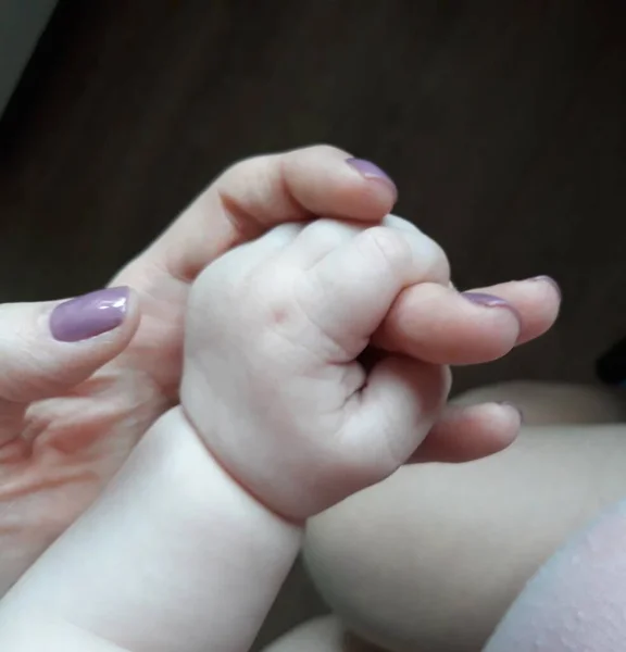 Bebê Está Segurando Mãe Pelo Dedo — Fotografia de Stock