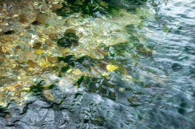 Dalgalı küçük denizde küçük taşlar