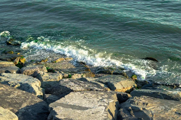 Parlak kayalar ve deniz kıyısında çarpan dalgalar güneş ışığı ve yosunlarla