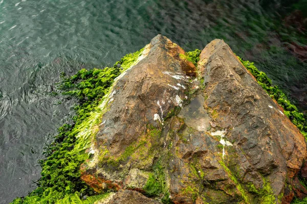 Textura Roca Musgosa Mar Con Agua Verde — Foto de Stock